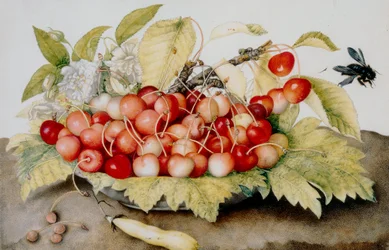 Plate of cherries, pod and bumble bees
